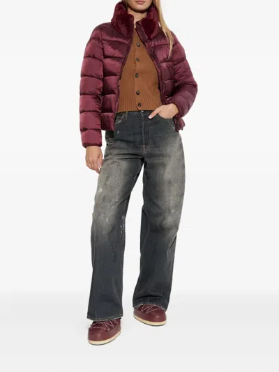 Save The Duck Lydia Jacket In Burgundy Black In Brown