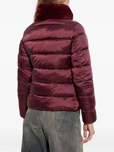 Save The Duck Lydia Jacket In Burgundy Black In Brown