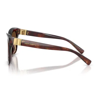 Dolce & Gabbana Dg4498 Dg Hinge Sunglasses In Brown