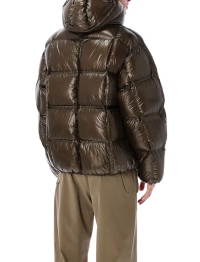 Roa Cube 650 Fill Power Down Jacket In Brown