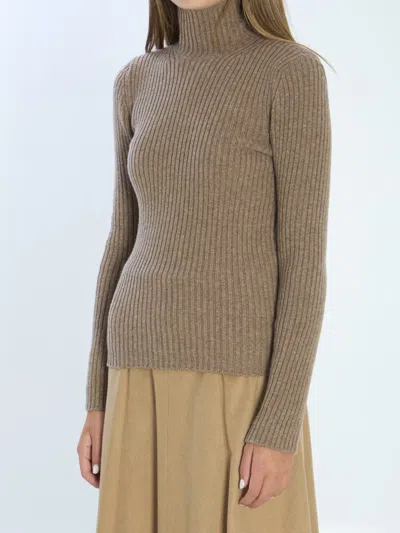 Max Mara Wool And Cashmere High Neck Knit Top In Brown