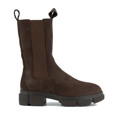 Copenhagen Elastic-panelled Chelsea Boots In Brown