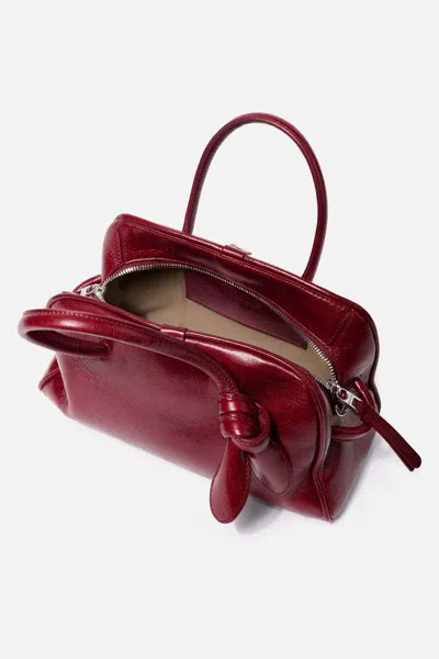 Jacquemus Le Petit Tourism In Shiny Vintage-finished Leather Bags In Red
