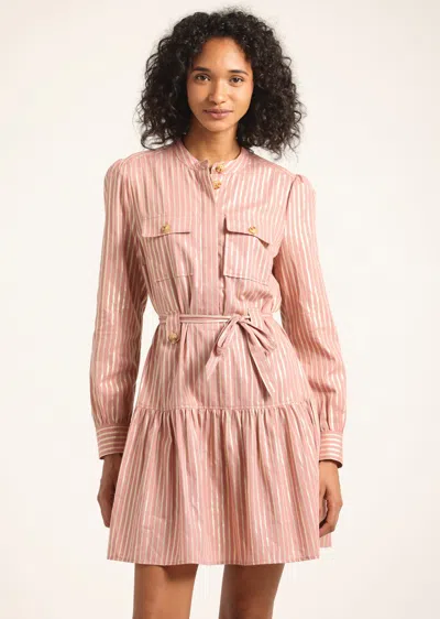 Derek Lam 10 Crosby Kayla Utility Shirt Dress In Pink