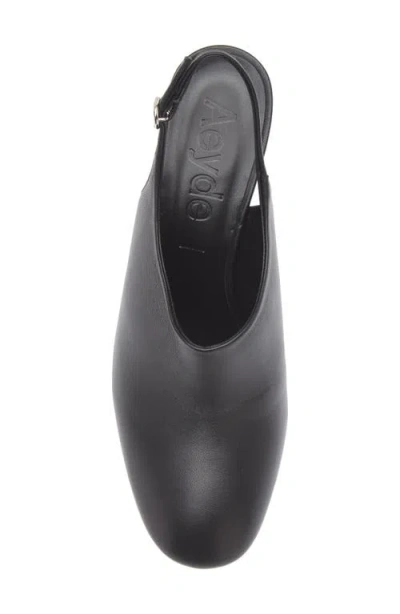 Aeyde Malin Heel Round Toe Pumps In Black