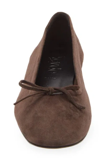 Aeyde Delfina Bow-detailed Ballet Flats In Brown