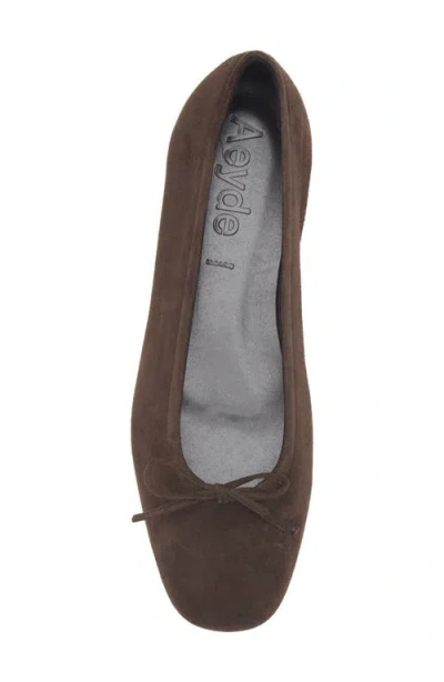 Aeyde Delfina Bow-detailed Ballet Flats In Brown