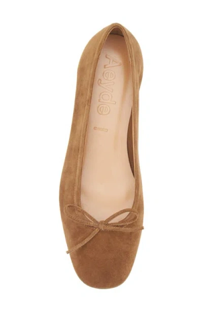 Aeyde Bow Detail Suede Finish Flat Sole Ballerinas In Brown