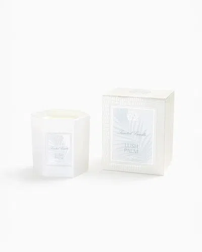 Antica Farmacista Lush Palm Candle In White