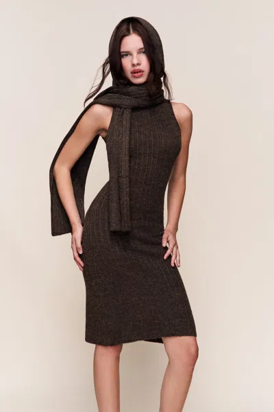 Danielle Guizio Ny Hooded Knit Dress In Brown