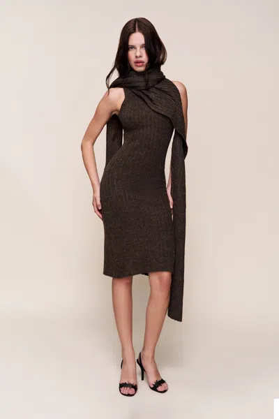 Danielle Guizio Ny Hooded Knit Dress In Brown