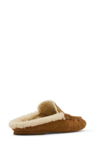 Steve Madden Women's Rafe Tailored Slip-on Loafers In Brown