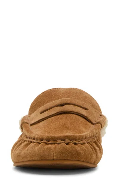 Steve Madden Women's Rafe Tailored Slip-on Loafers In Brown