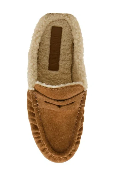 Steve Madden Women's Rafe Tailored Slip-on Loafers In Brown