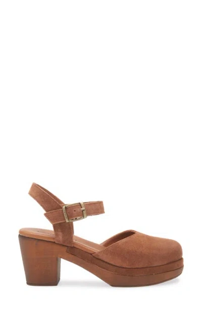 Cordani Warner Ankle Strap Platform Clog In Brown