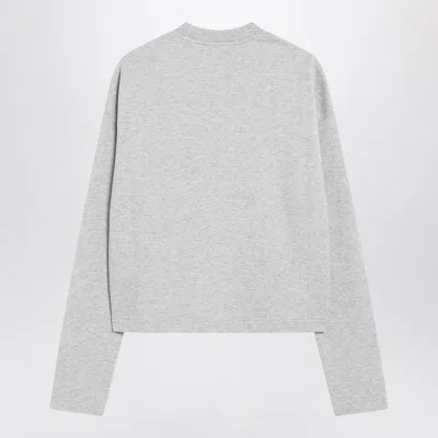 Ami Alexandre Mattiussi Ami Paris Grey Ami Paris De Coeur Sweatshirt In Gray