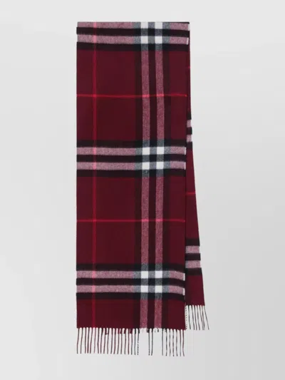 Burberry Check Patterned Cashmere Scarf Fringed Edges In Purple