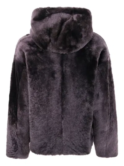 连帽小羊皮夹克