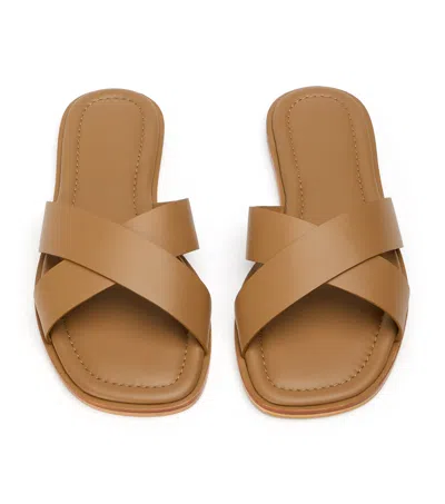 Tony Bianco Maple Tan Como In Brown