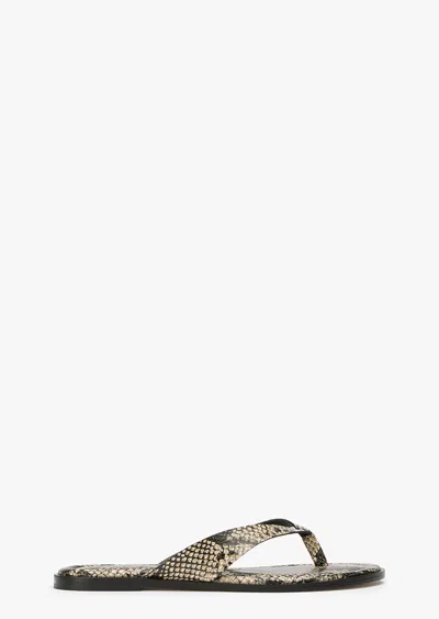 Tony Bianco Sahara Ecru Snake In Multi