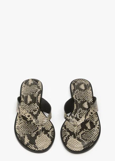 Tony Bianco Sahara Ecru Snake In Multi