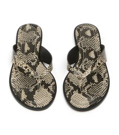 Tony Bianco Sahara Ecru Snake In Multi