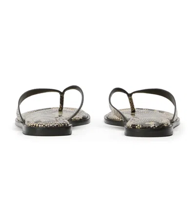 Tony Bianco Sahara Ecru Snake In Multi