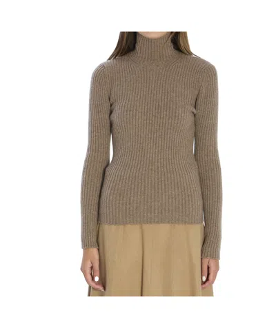 Max Mara Ribbed Wool And Cachemire Turtleneck Sweater In Brown