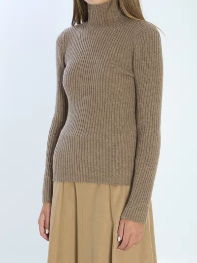 Max Mara Ribbed Wool And Cachemire Turtleneck Sweater In Brown