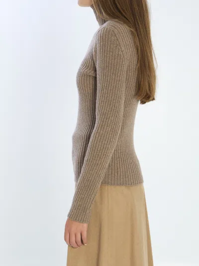 Max Mara Ribbed Wool And Cachemire Turtleneck Sweater In Brown