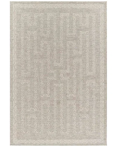 Ecarpet Hampton Transitional Area Rug In Neutral