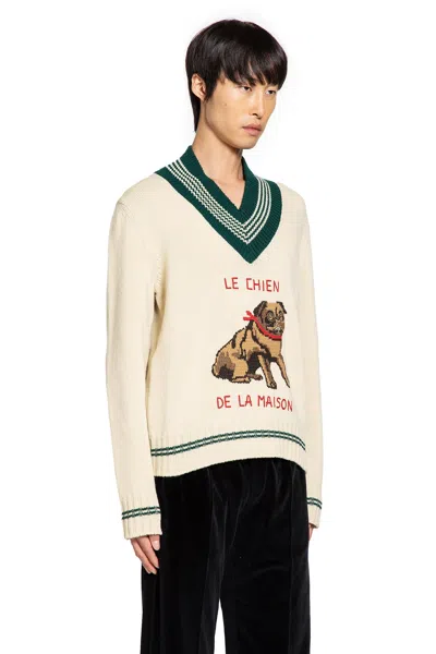 Valentino Garavanile Chien De La Maison Sweater In Neutral