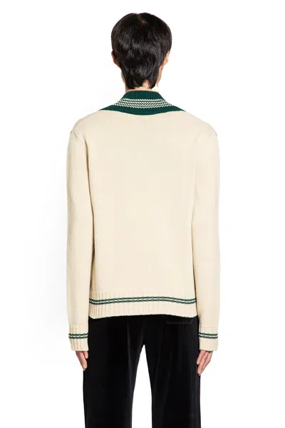 Valentino Garavanile Chien De La Maison Sweater In Neutral