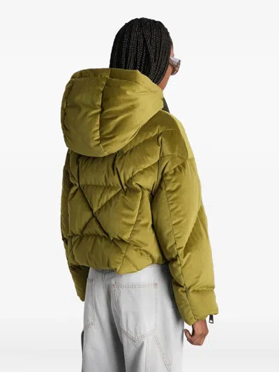 绗缝连帽蓬松夹克