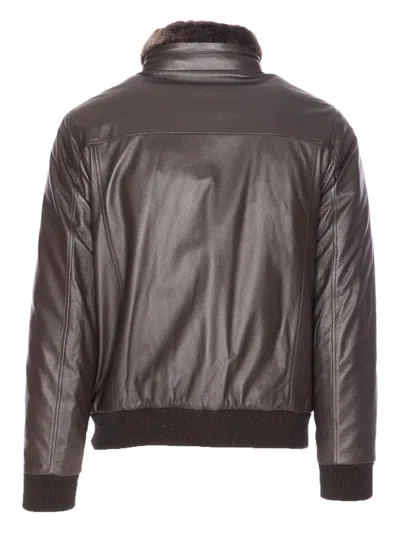 Moorer High Neck Jacket Fur Collar In Brown