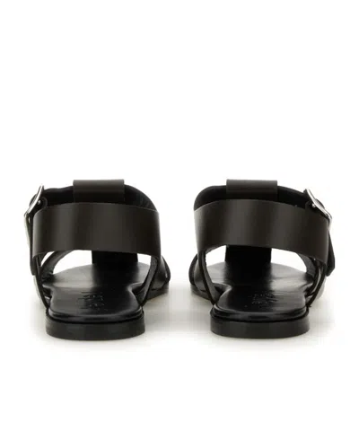 Aeyde Buckle Fastened Cut Out Sandals In Black