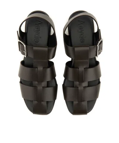 Aeyde Buckle Fastened Cut Out Sandals In Black
