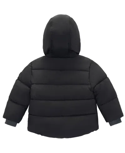 S Rothschild & Co Baby Boys Sherpa Lined Puffer Jacket In Black