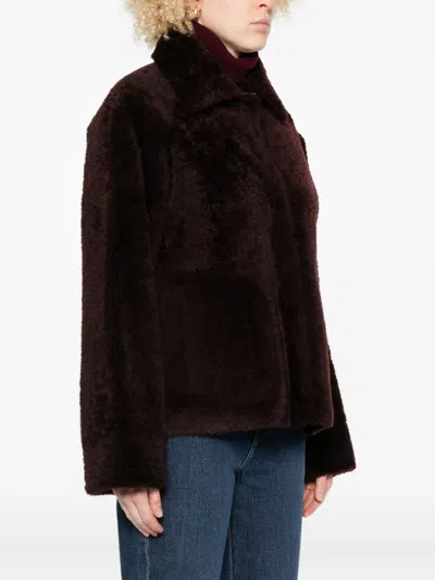 Arma Shearling-collared Jacket In Brown
