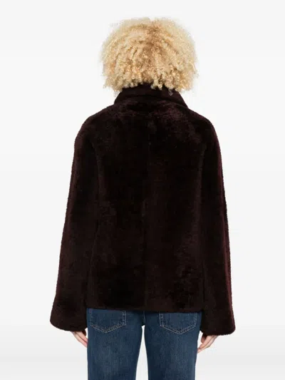 Arma Shearling-collared Jacket In Brown