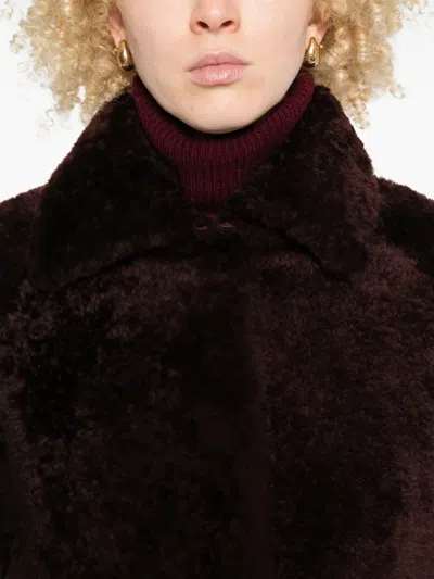 Arma Shearling-collared Jacket In Brown