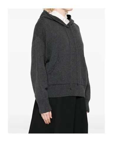 Antonelli Hoodie With Long Sleeves In Gray