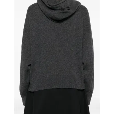 Antonelli Hoodie With Long Sleeves In Gray