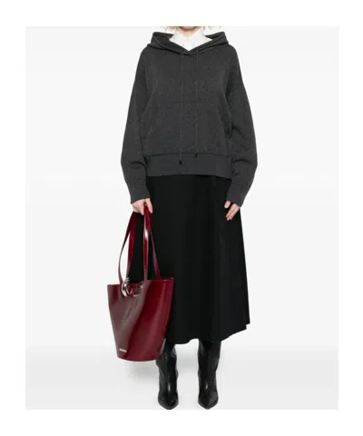 Antonelli Hoodie With Long Sleeves In Gray