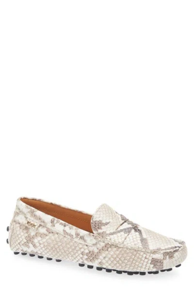 Tod's Snake-effect Leather Driving Loafers In Animal Print