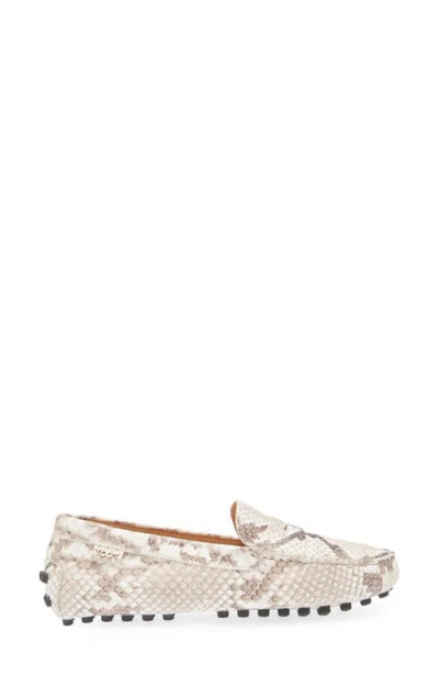Tod's Snake-effect Leather Driving Loafers In Animal Print