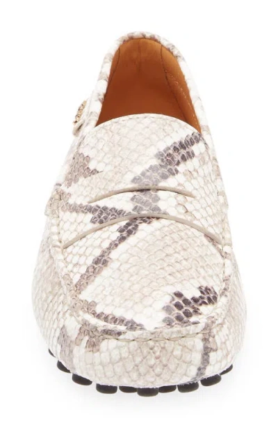 Tod's Snake-effect Leather Driving Loafers In Animal Print