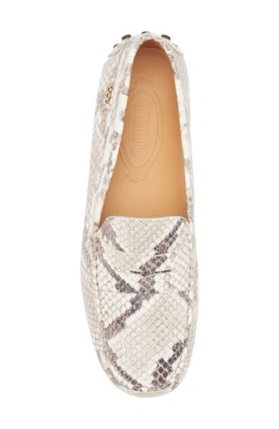 Tod's Snake-effect Leather Driving Loafers In Animal Print