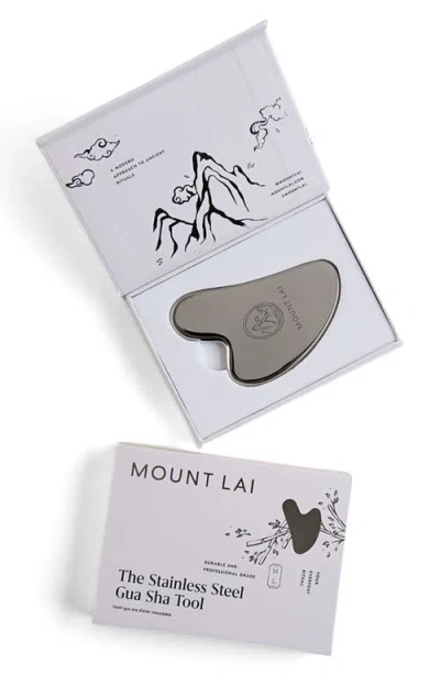 Mount Lai The Stainless Steel Gua Sha Tool In Transparent
