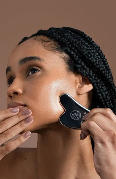 Mount Lai The Stainless Steel Gua Sha Tool In Transparent